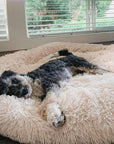 Dog Bed Round Plush Cuddler Pet Sleeping Bed - Image 2