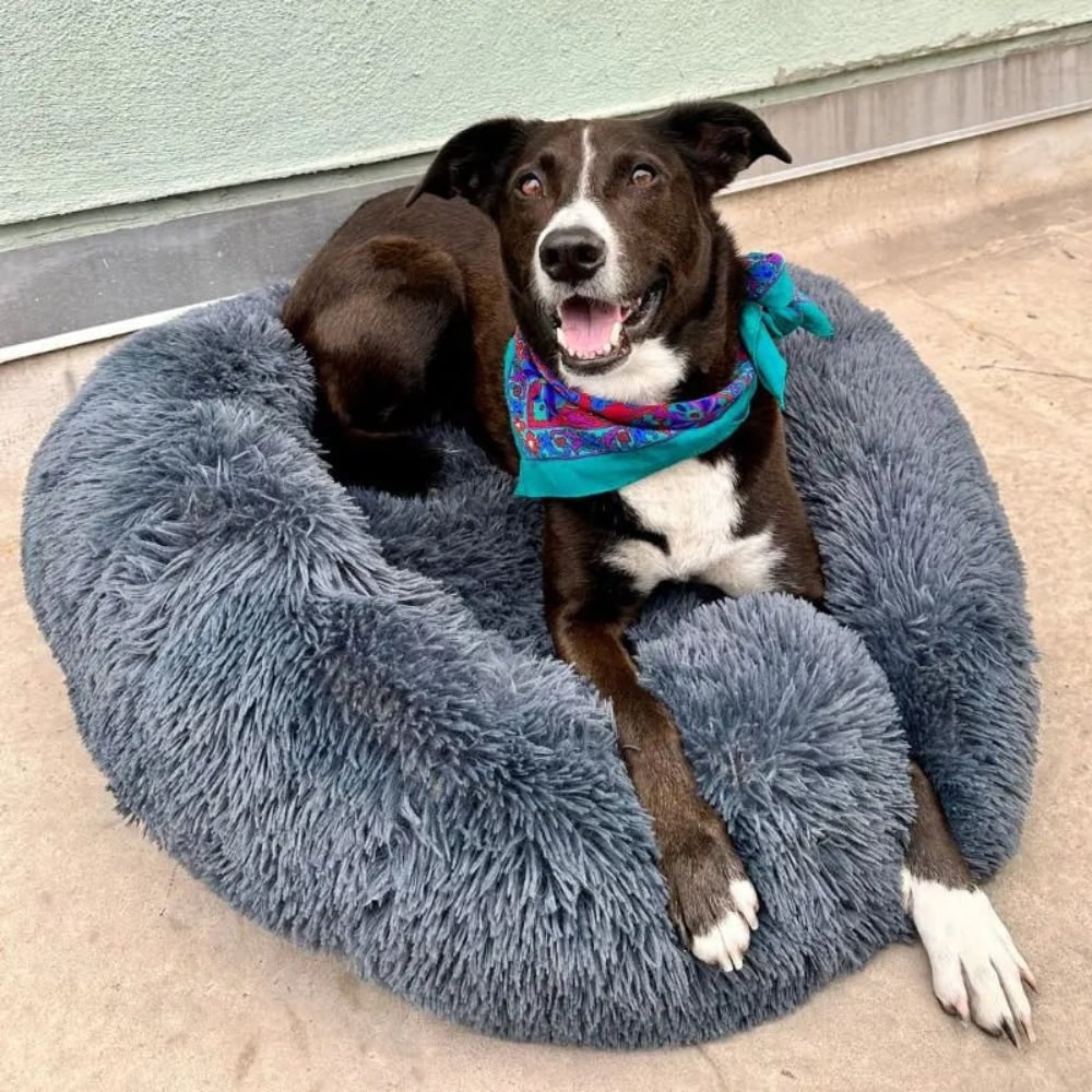 Dog Bed Round Plush Cuddler Pet Sleeping Bed - Image 3