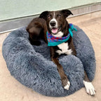 Dog Bed Round Plush Cuddler Pet Sleeping Bed - Image 3