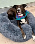 Dog Bed Round Plush Cuddler Pet Sleeping Bed - Image 3