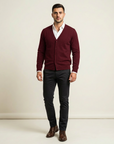 David | Herren Strickpullover mit eleganter Strickstruktur