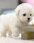 Interactive Robotic Puppy Barking Toy Companionship - Image 2