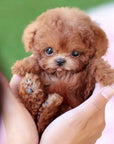 Interactive Robotic Puppy Barking Toy Companionship - Image 3